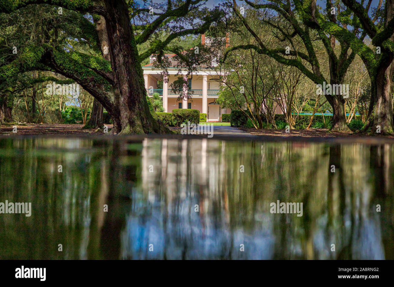 Oak Alley Plantation Stockfoto