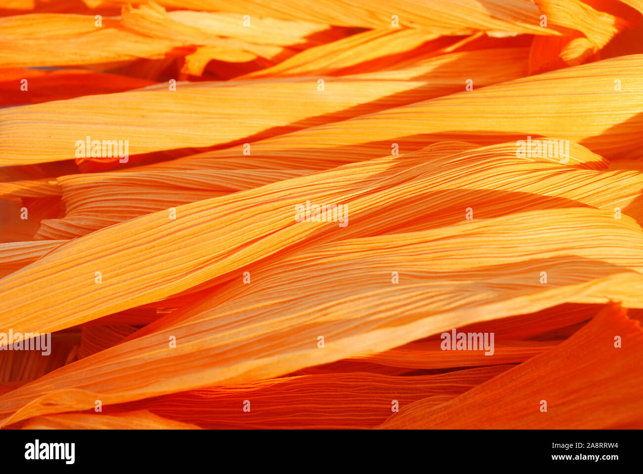 Getrockneter mais Schale in dunklem orange gefärbt. Für die Herstellung von krathong.; Stockfoto