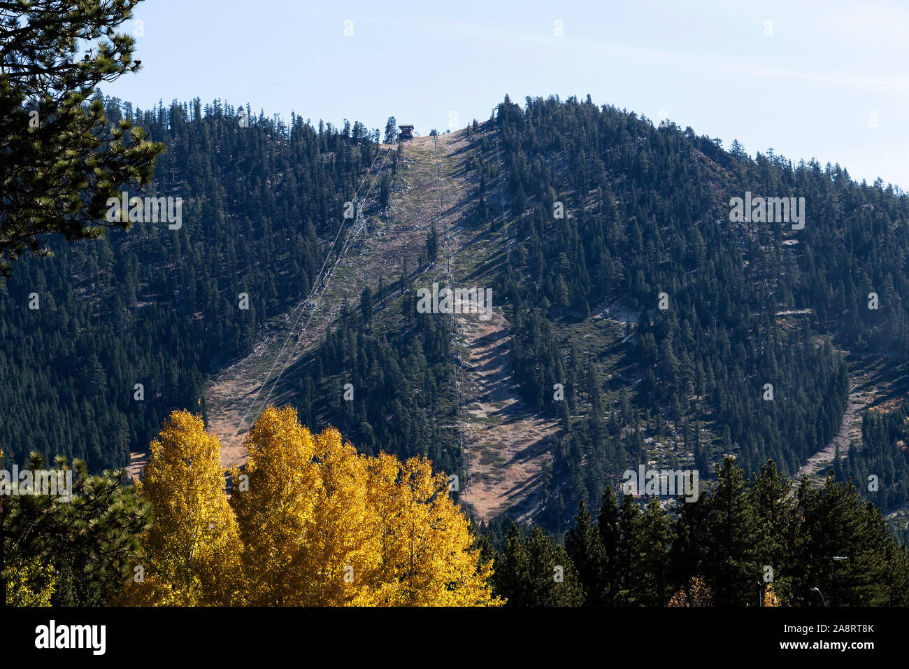 Skipiste läuft ohne Schnee Ende Oktober Lake Tahoe California Herbst Blätter auf Baum im Vordergrund. Stockfoto