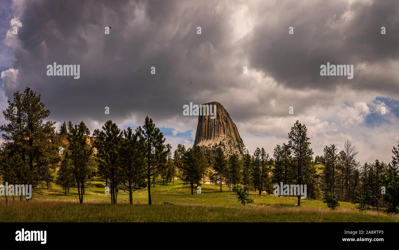 Ein Panoramablick von Devil's Tower National Monument in der Nähe von Hulett, Wyoming von Joyner Ridge Trailhead. Stockfoto