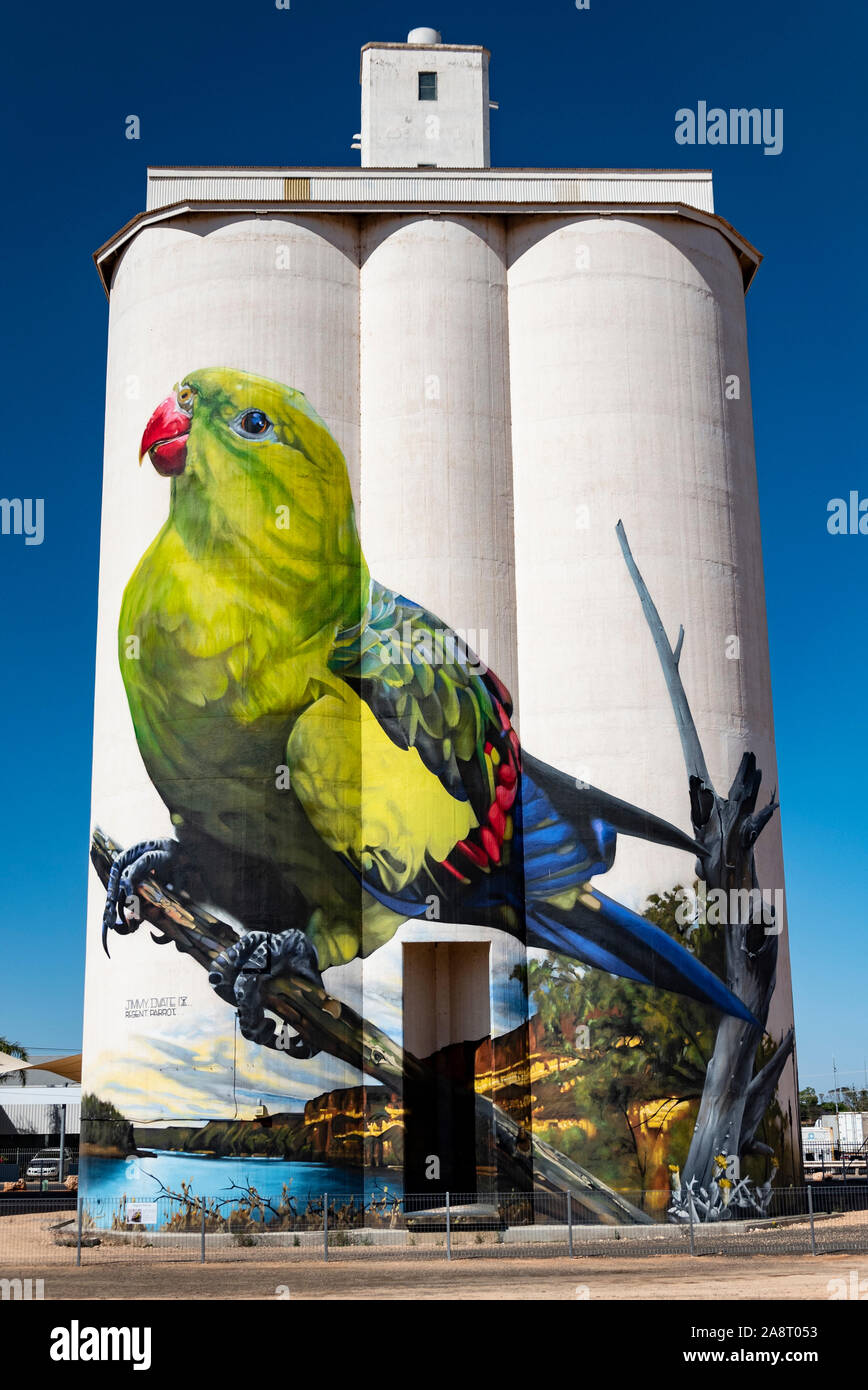 Waikerie Silo Kunst, South Australia. Stockfoto