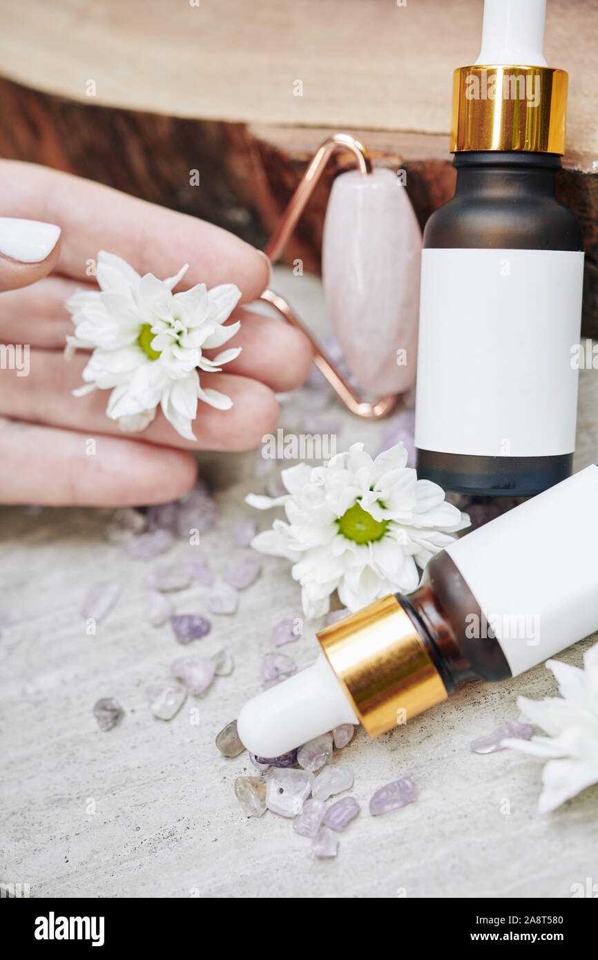 Hand der Frau sprechen blühende daisy flower und zeigt ihre verjüngende natürliche Seren und Massageroller Stockfoto