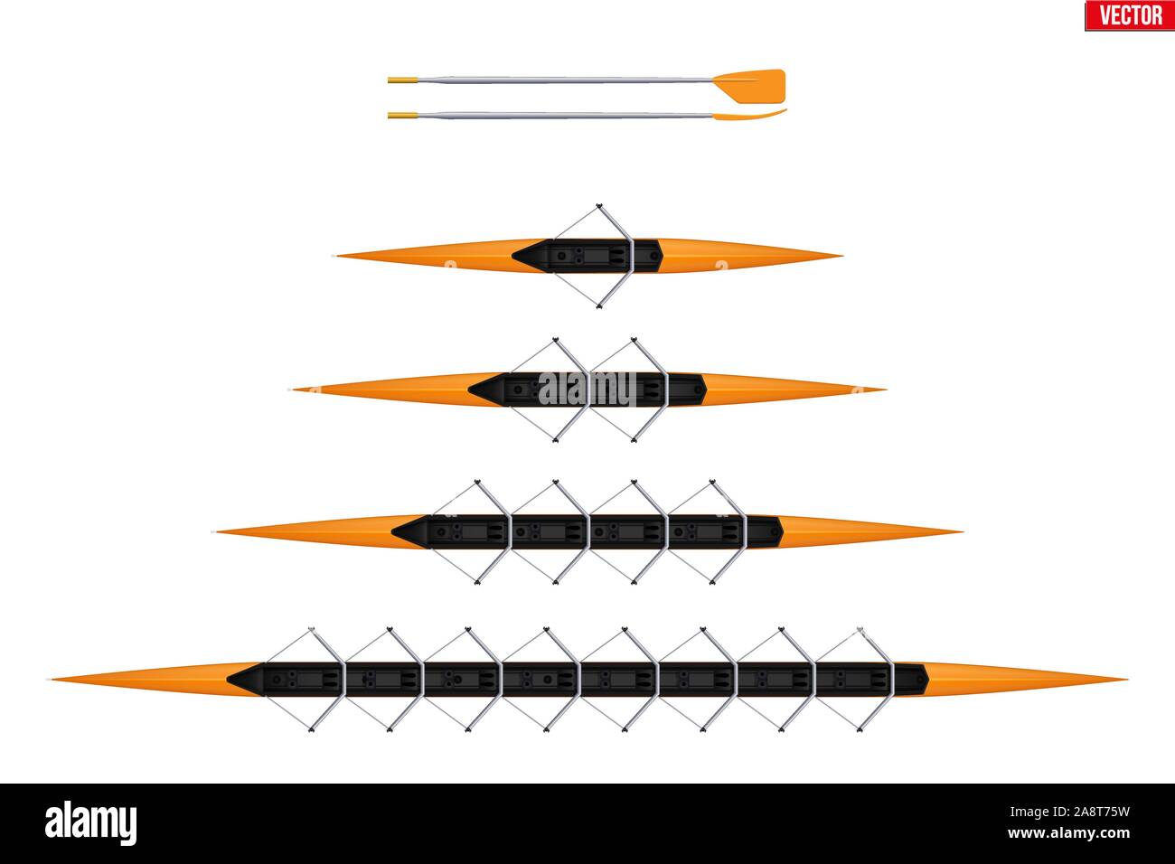 Satz die Rennschale für Rudern Stock Vektor