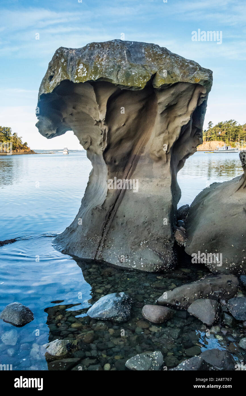 Eine seltsame Felsformation in Fox Bay auf sucia Island, einem Marine State Park in den San Juan Inseln, Washington State, USA. Stockfoto