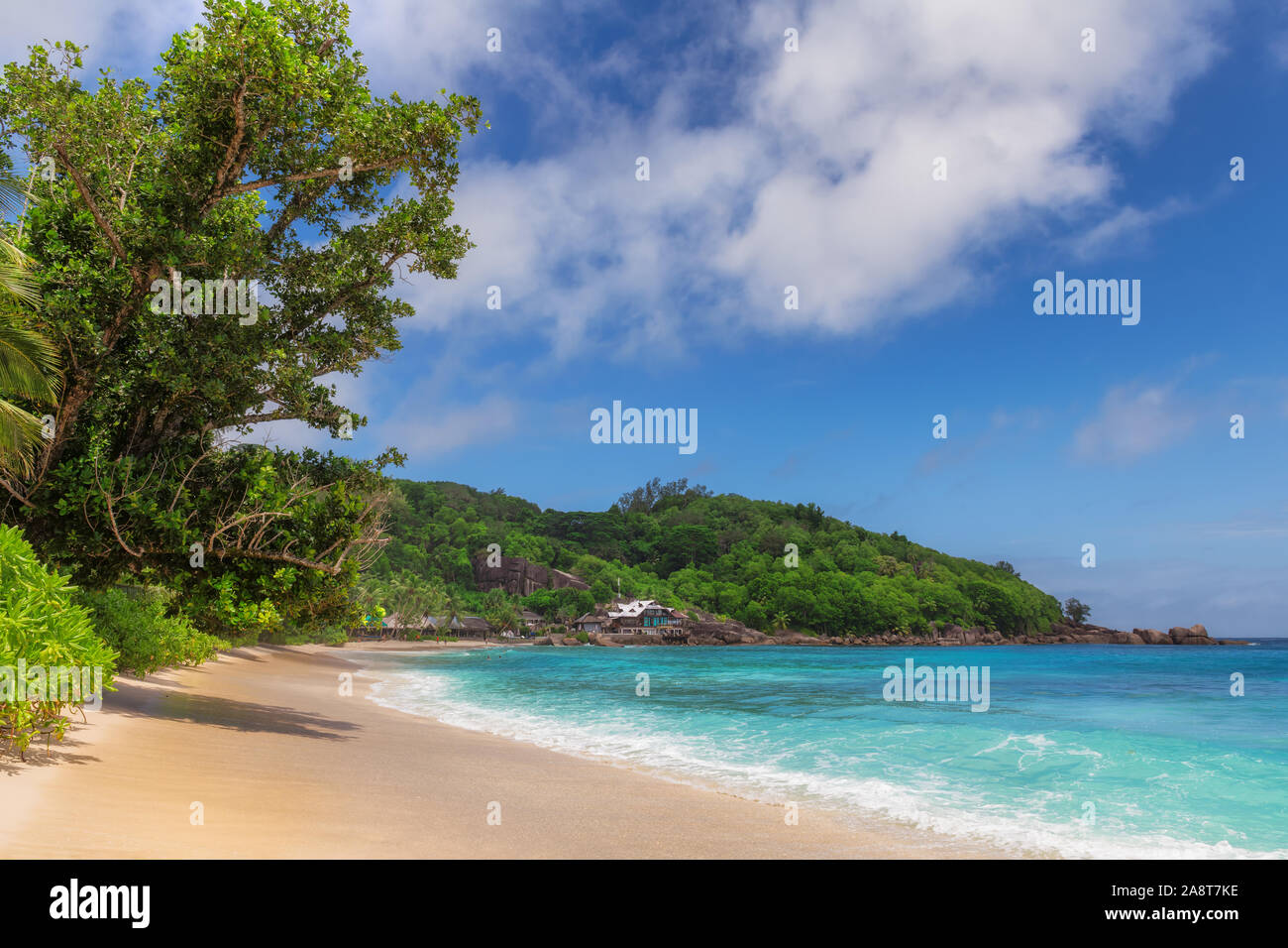 Sonnigen tropischen Strand und das türkisfarbene Meer Stockfoto