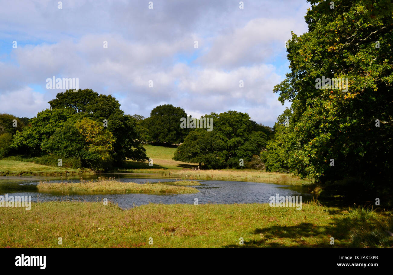 River Hamble Country Park, Bursledon, in der Nähe von Southampton, Hampshire, Großbritannien Stockfoto