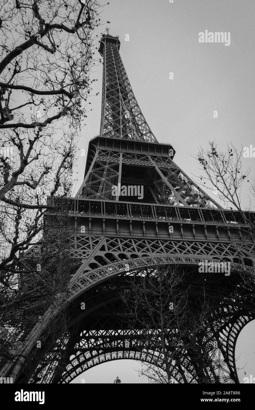Low Angle Blick auf den Eiffelturm in Schwarz und Weiß im Winter. Leafeless Äste im Vordergrund Stockfoto