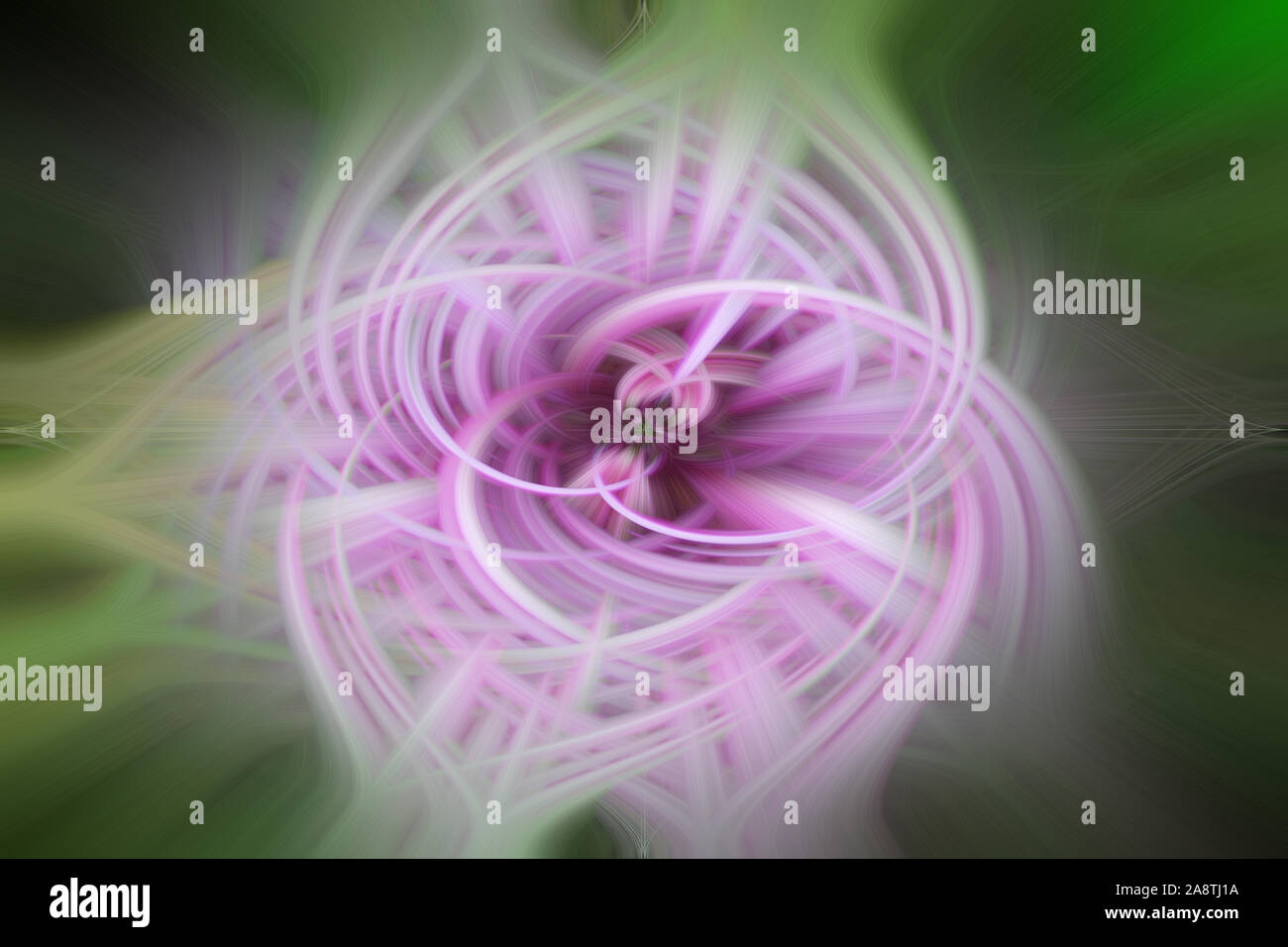 Zusammenfassung Hintergrund, Rosa und Grün, magic Blumen, Stockfoto