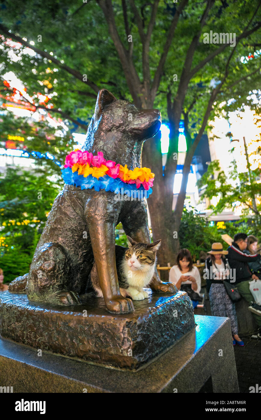 Hachiko Denkmal, Blick auf die Bronzestatue von hachiko am Bahnhof
