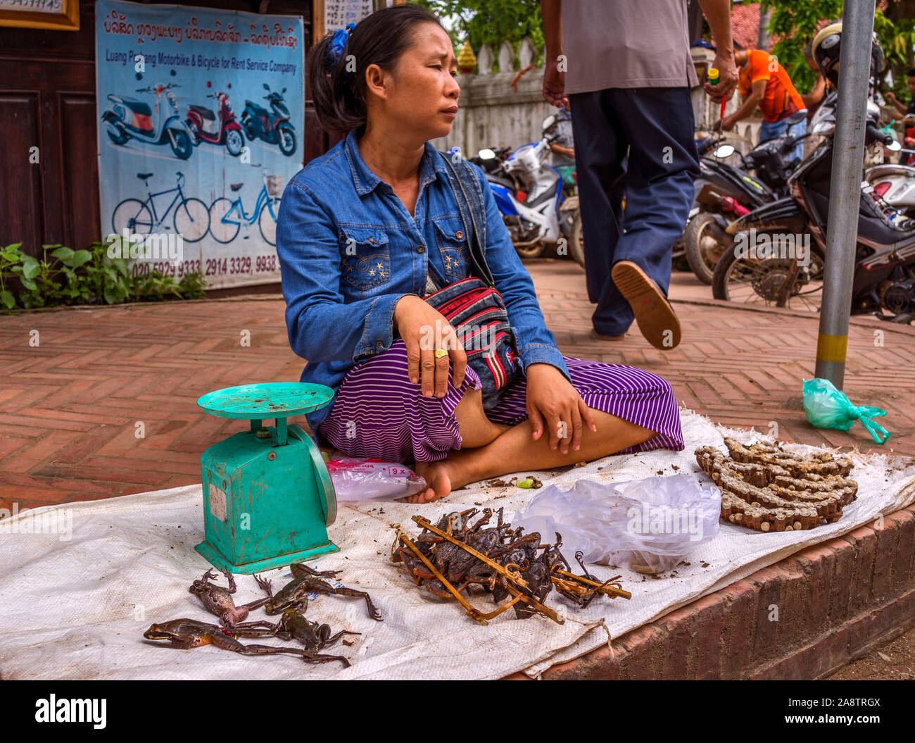 Frösche und Rohseide für Verkauf auf der Straße in der malerischen UNESCO Weltkulturerbe Stadt Luang Prabang in Laos, Südostasien Stockfoto