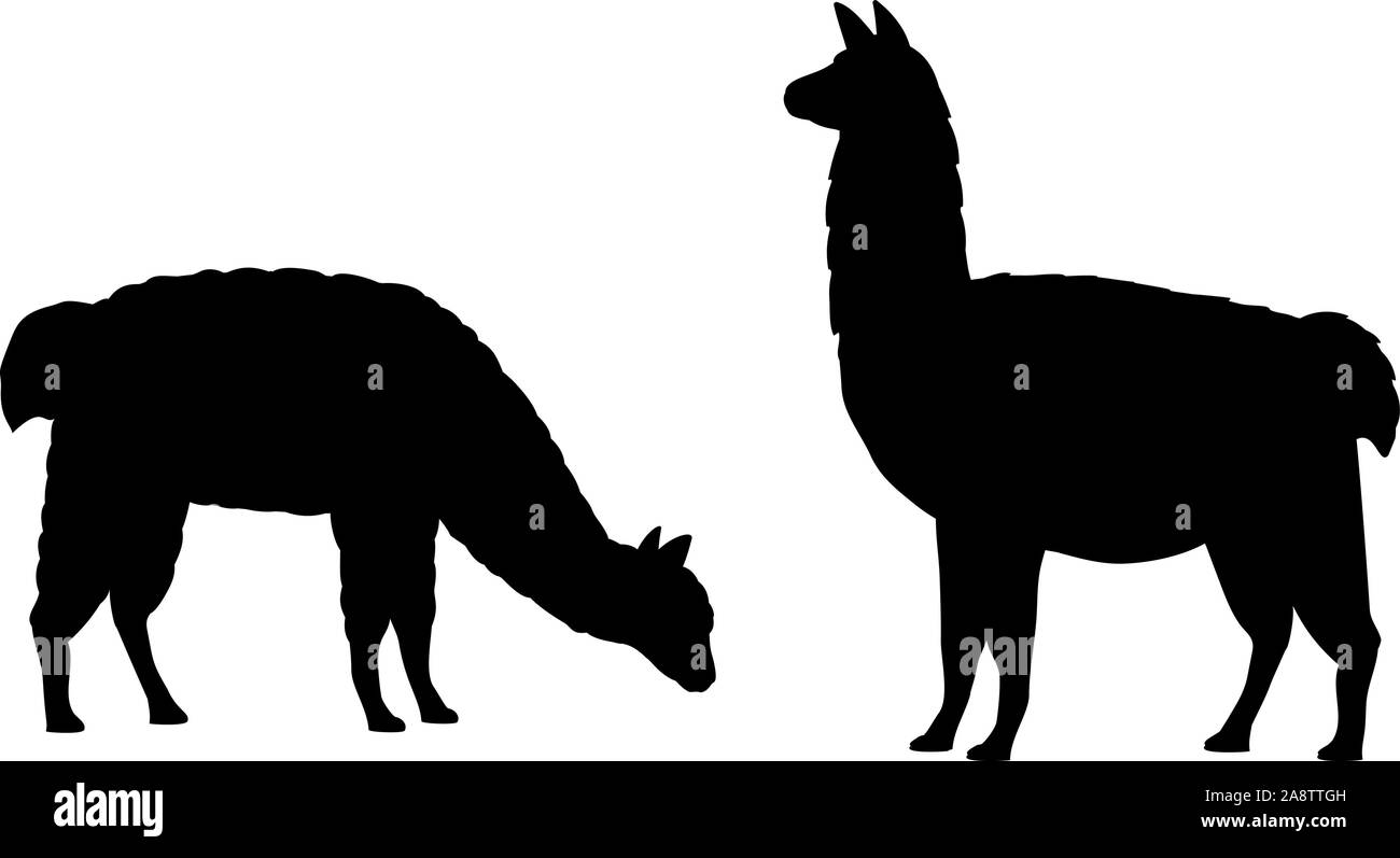 Silhouette von zwei alpakas Lamas. Alpaka Lama Familie. Vektor Illustrator Stock Vektor