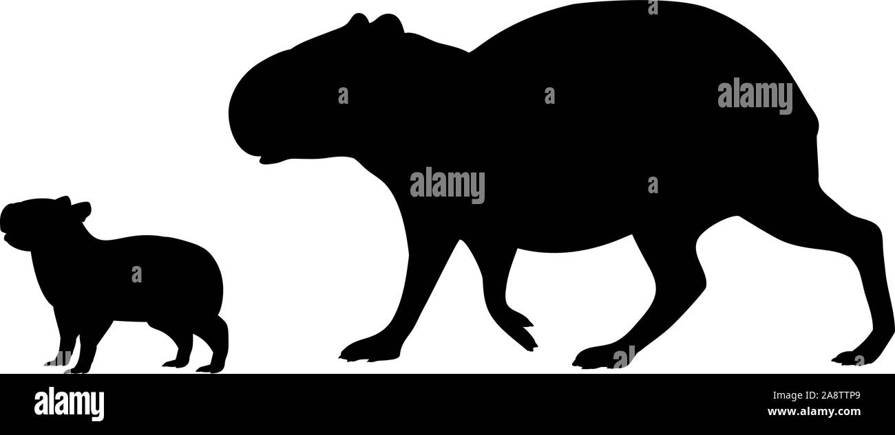 Silhouette von wasserschwein und jungen kleinen Capybara. Vektor Illustrator Stock Vektor