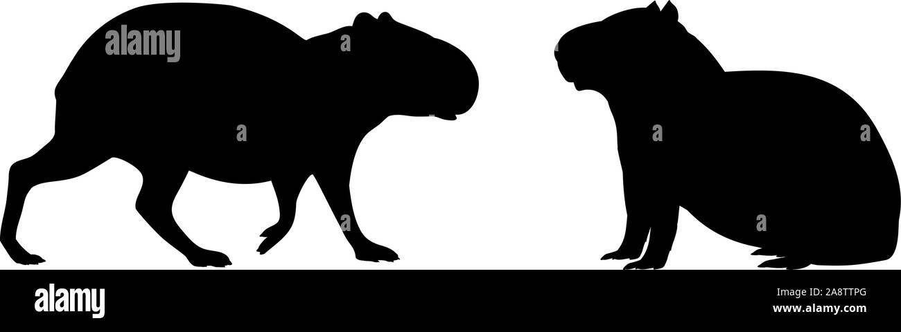 Silhouette von zwei wasserschweine. Capybara Familie. Vektor Illustrator Stock Vektor