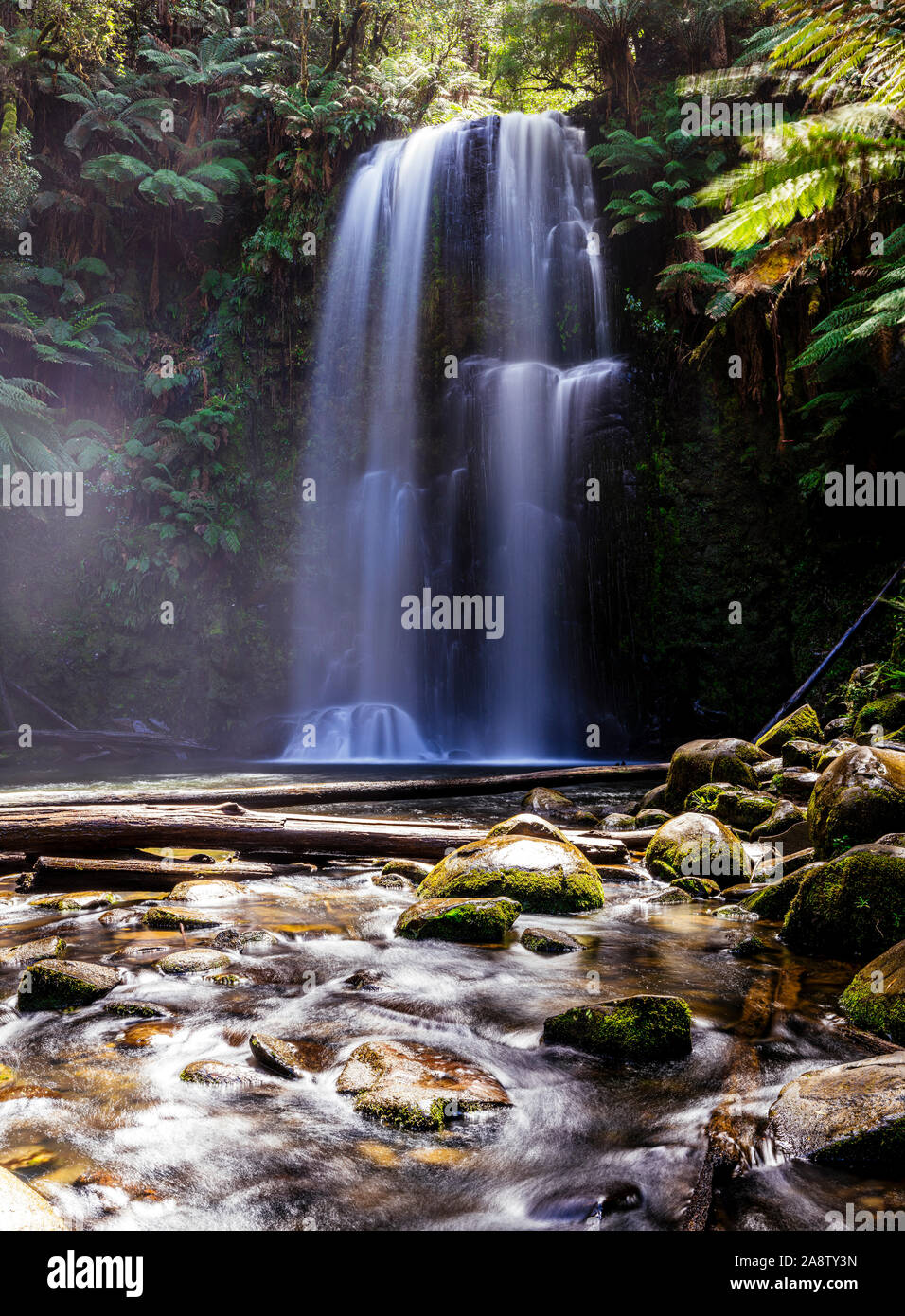 Beauchamp fällt im Otway National Park, Victoria, Australien Stockfoto