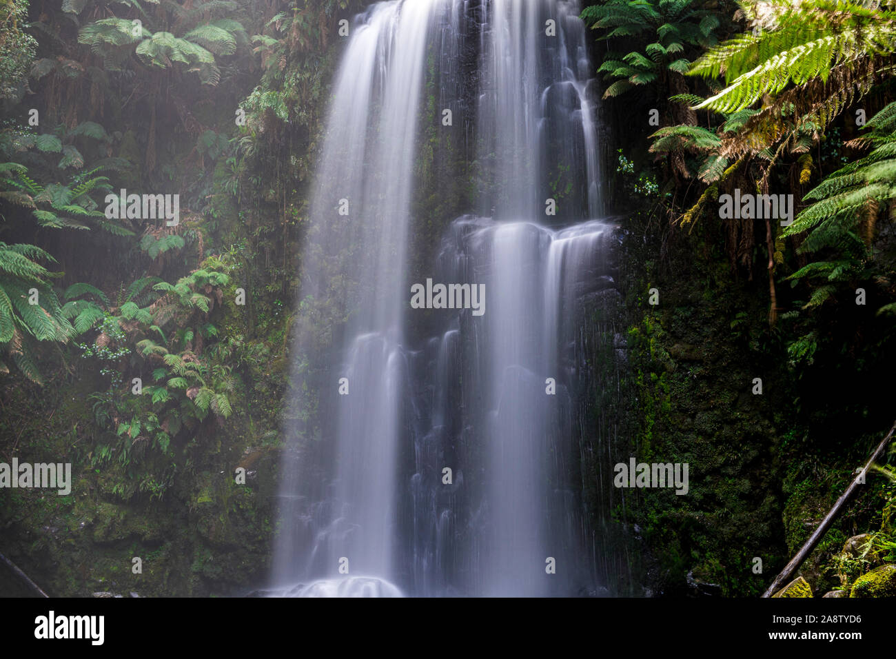 Beauchamp fällt im Otway National Park, Victoria, Australien Stockfoto