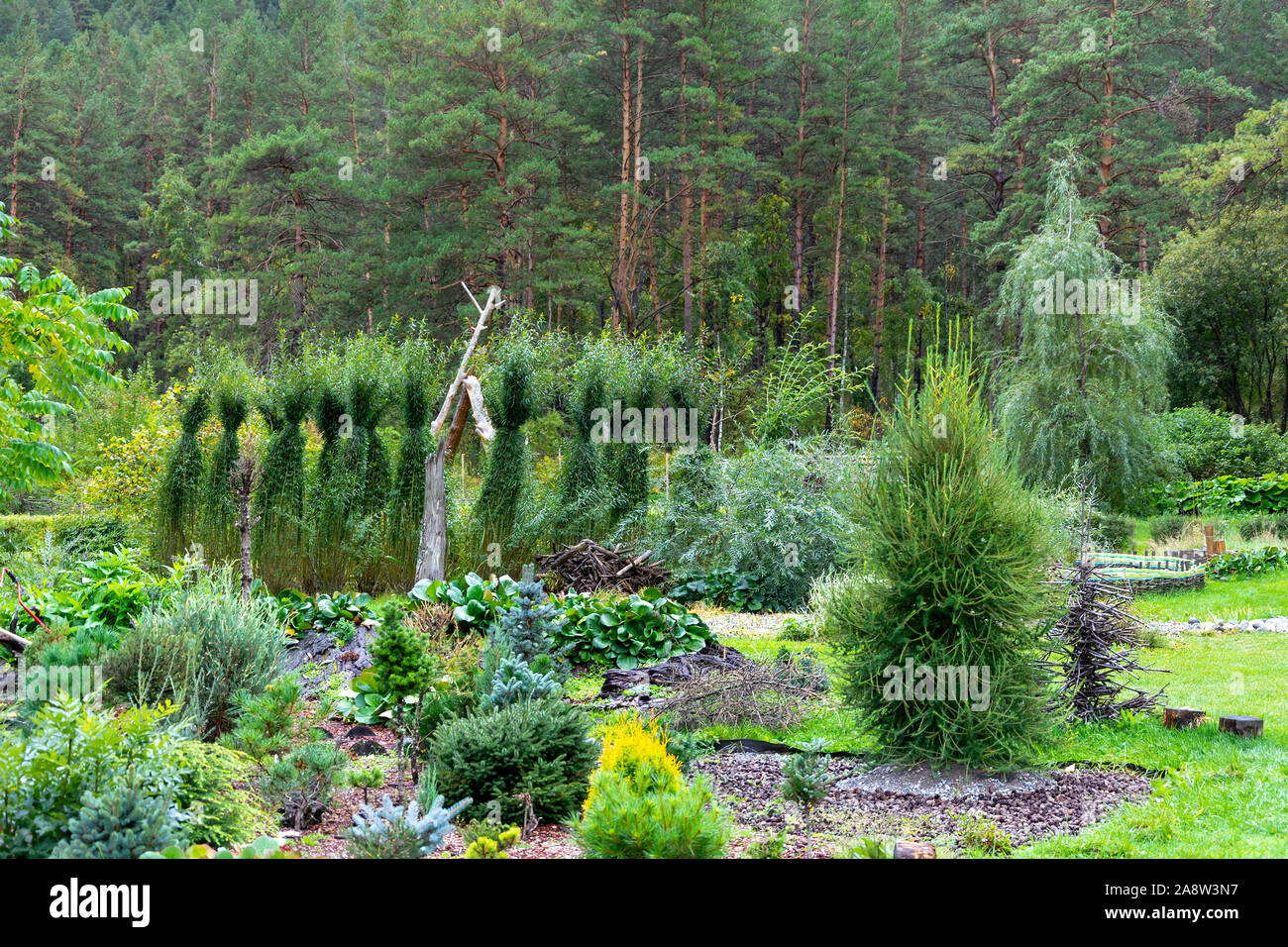 Hackschnitzel fr den garten -Fotos und -Bildmaterial in hoher Auflsung   Alamy