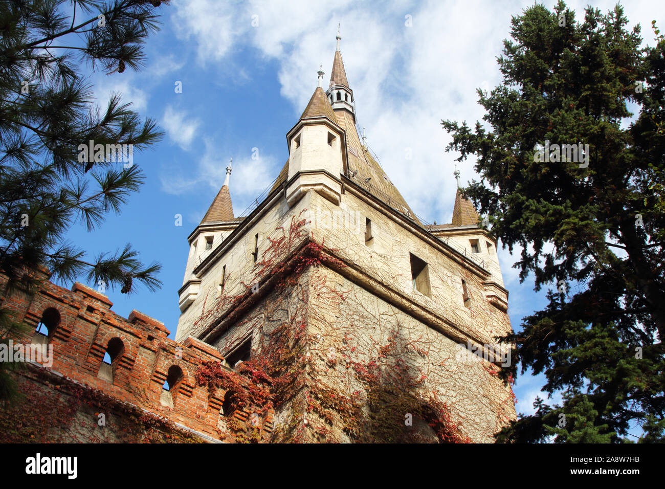 Details der Burg von Vajdahunyad, Budapest, Ungarn Stockfoto