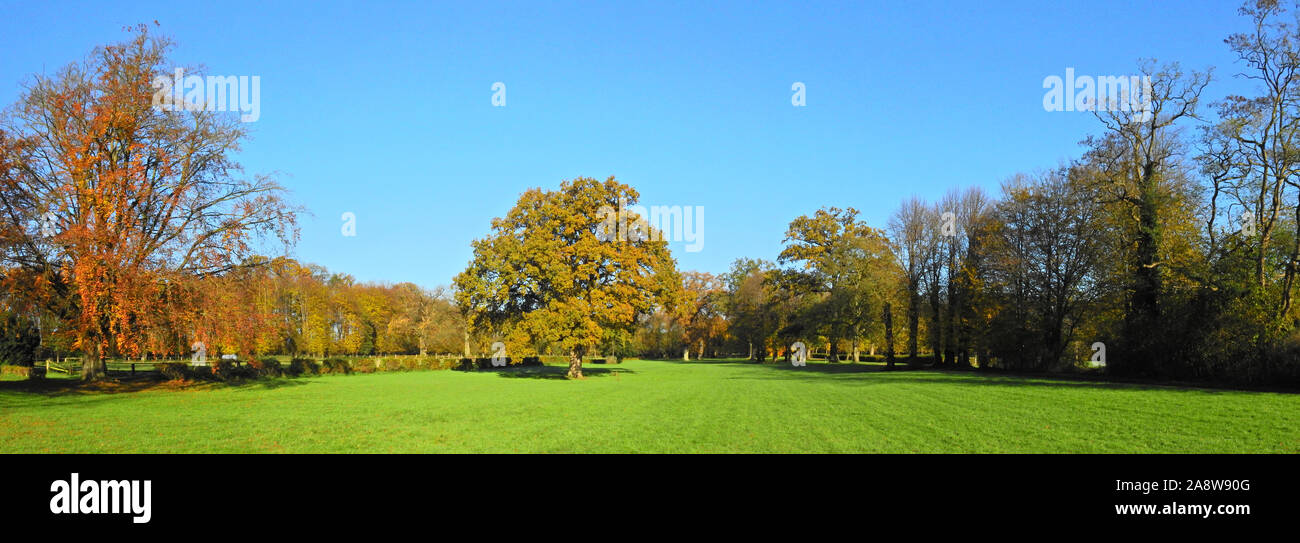 Park Panorama - Herbst Stockfoto