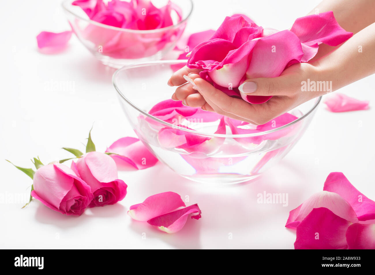 Weibliche Hände und Schüssel von Spa Wasser mit Rosen und Blüten Stockfoto