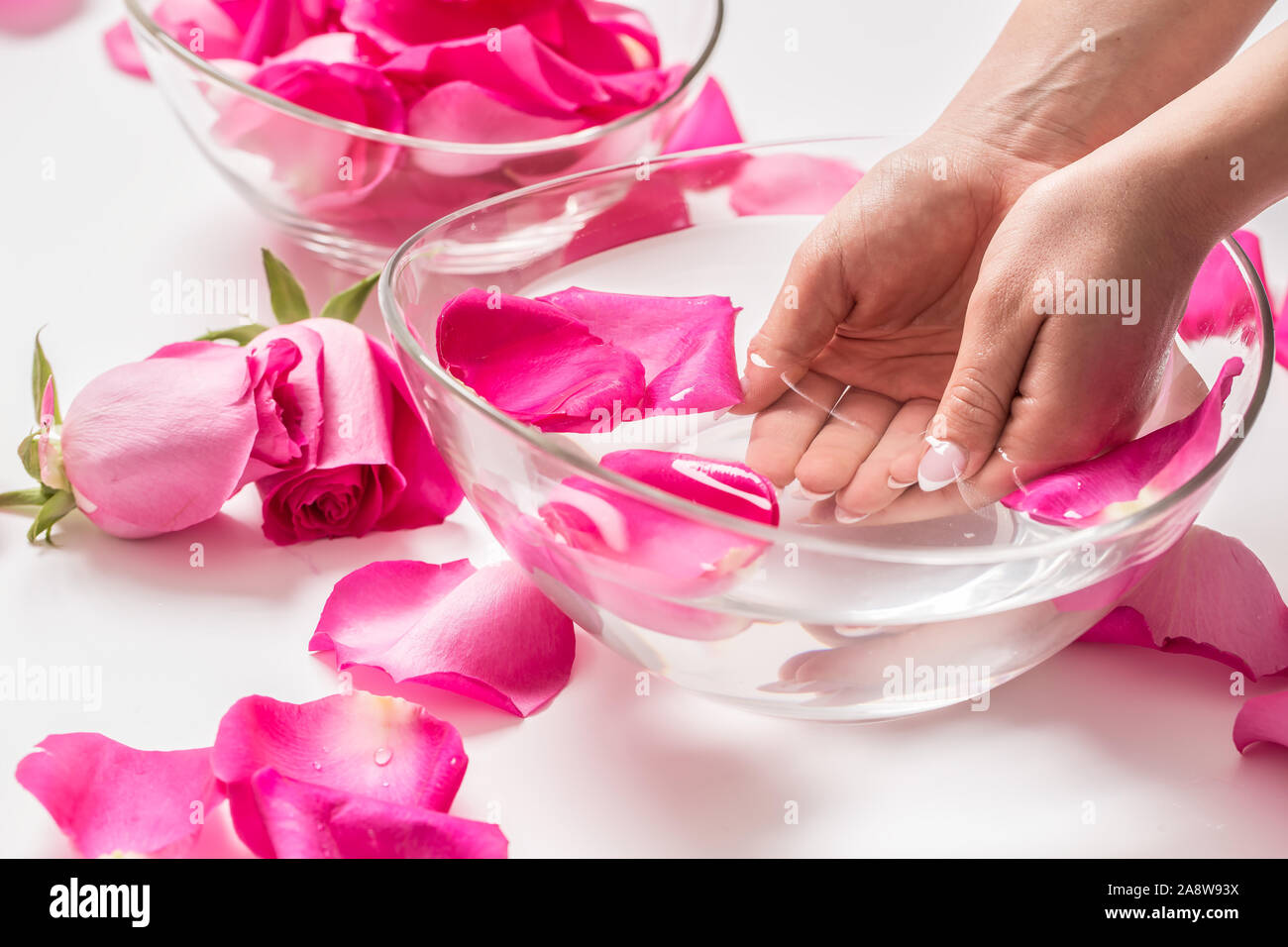 Weibliche Hände und Schüssel von Spa Wasser mit Rosen und Blüten Stockfoto