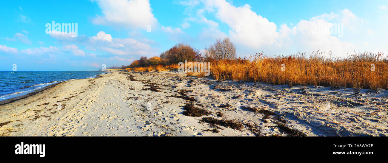 Ostsee im Herbst - Panorama Stockfoto