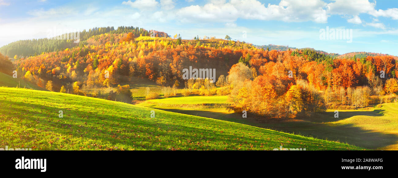 Schwarzwald im Herbst - Panorama Stockfoto