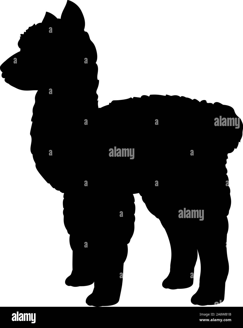 Silhouette der jungen Alpaka lama Cub. Nette junge Tier. Vektor Illustrator Stock Vektor