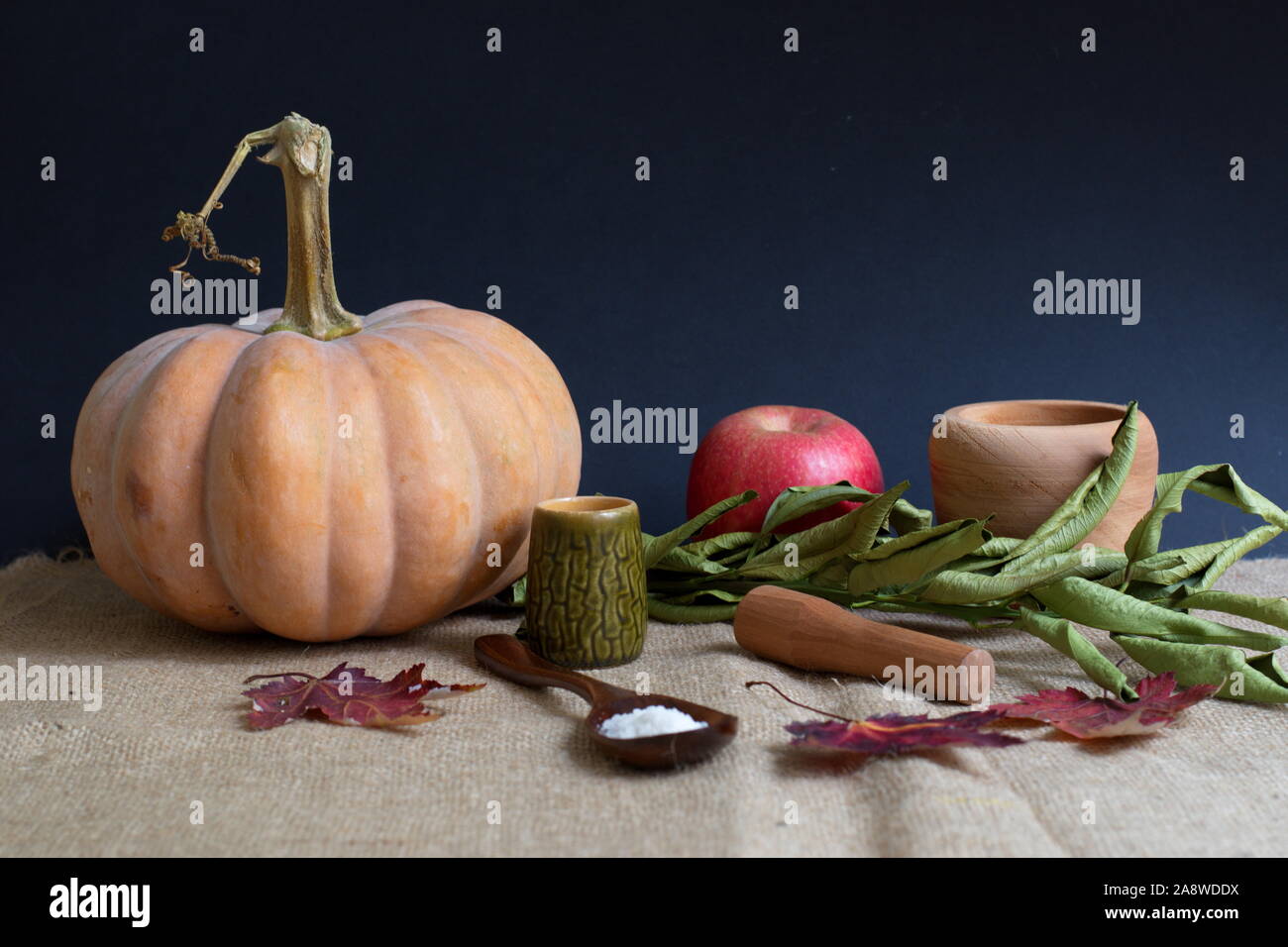 Kürbis, Apfel und Gewürze auf dem Tisch vor dem dunklen Hintergrund - Thanksgiving Dekoration Stockfoto
