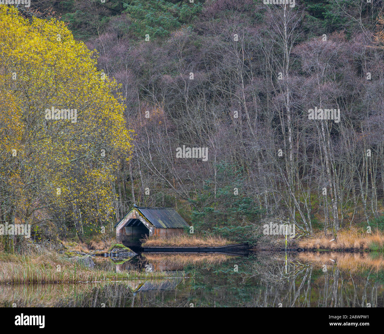 Die Überlegungen zu einer ruhigen herbstlichen Morgen an einem alten Bootshaus am Loch Chon in der Trossachs National Park, Schottland Stockfoto
