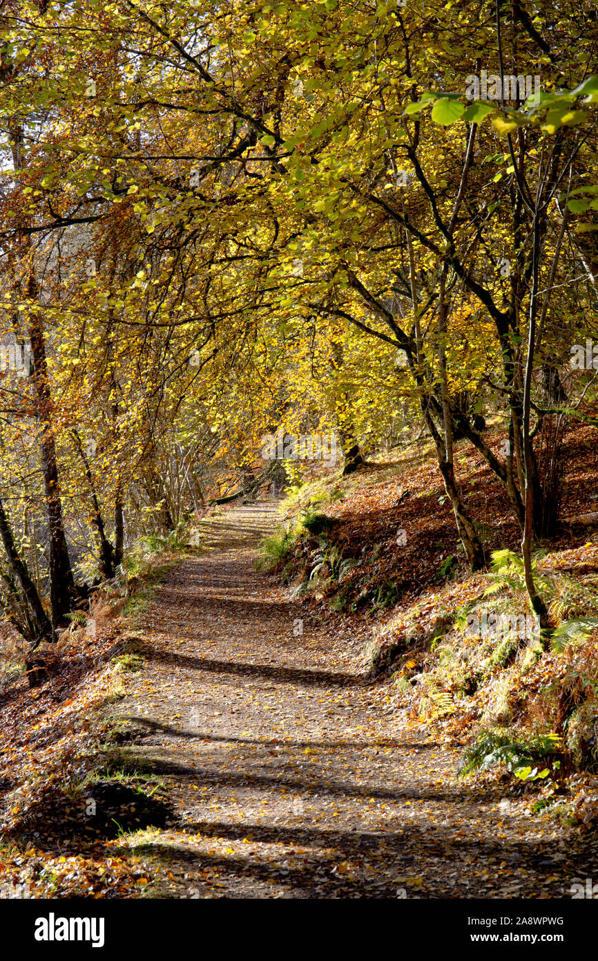 Rob Roy in Aberfeldy, Perth und Kinross, Schottland. Stockfoto