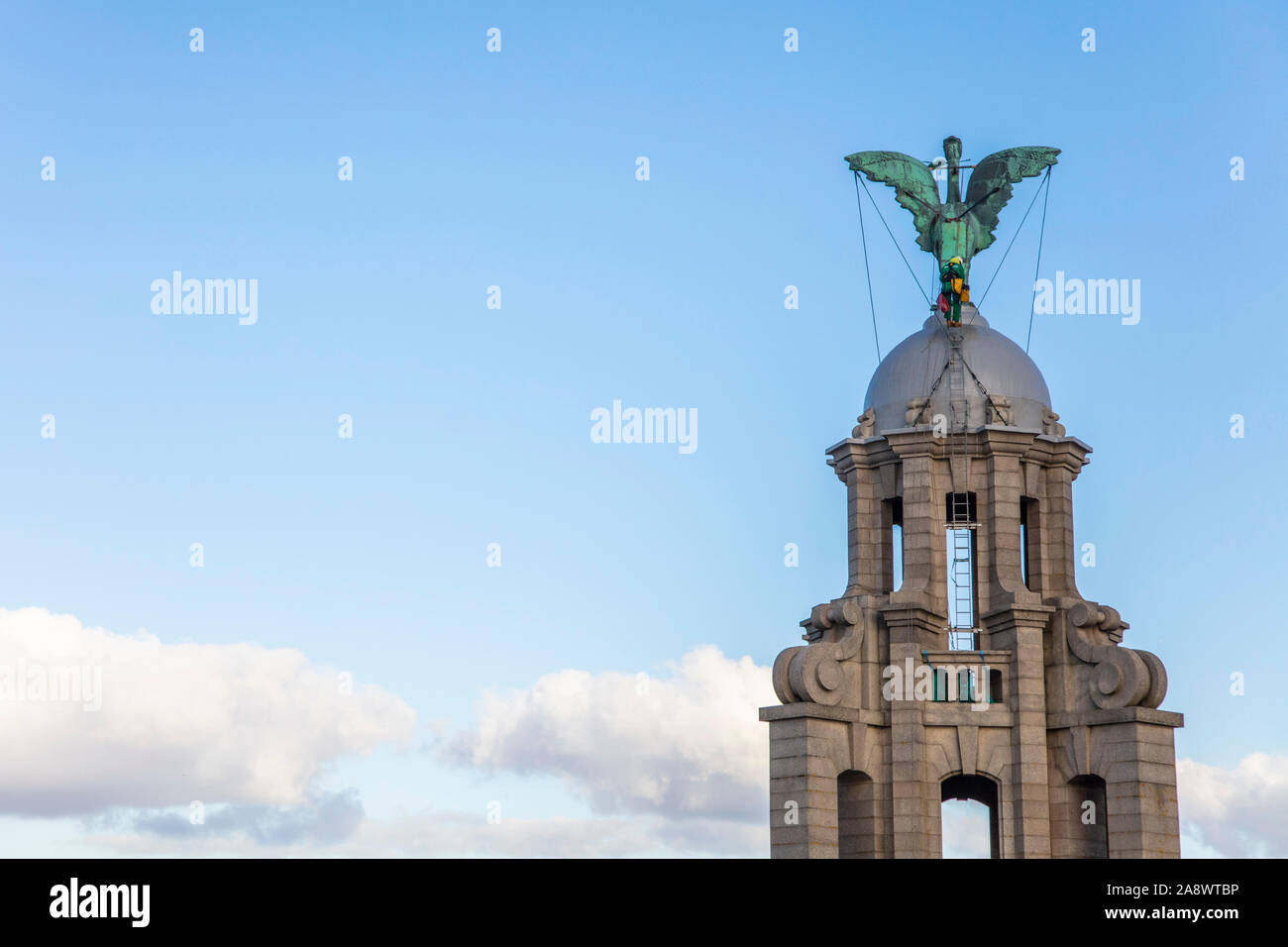 Liverpool, Großbritannien - 30. Oktober 2019: Einer der Leber Vögel auf der Oberseite des legendären Royal Liver Building in Liverpool Stockfoto