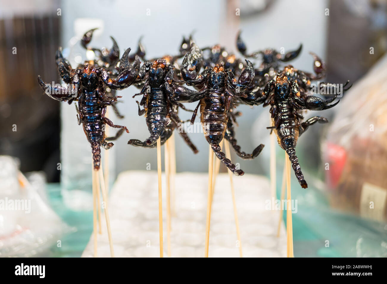 Frittierte Scorpions verkaufen im Bangkok Night Market. Gebratene Insekten ist eines der berühmten Snack in Thailand. Stockfoto