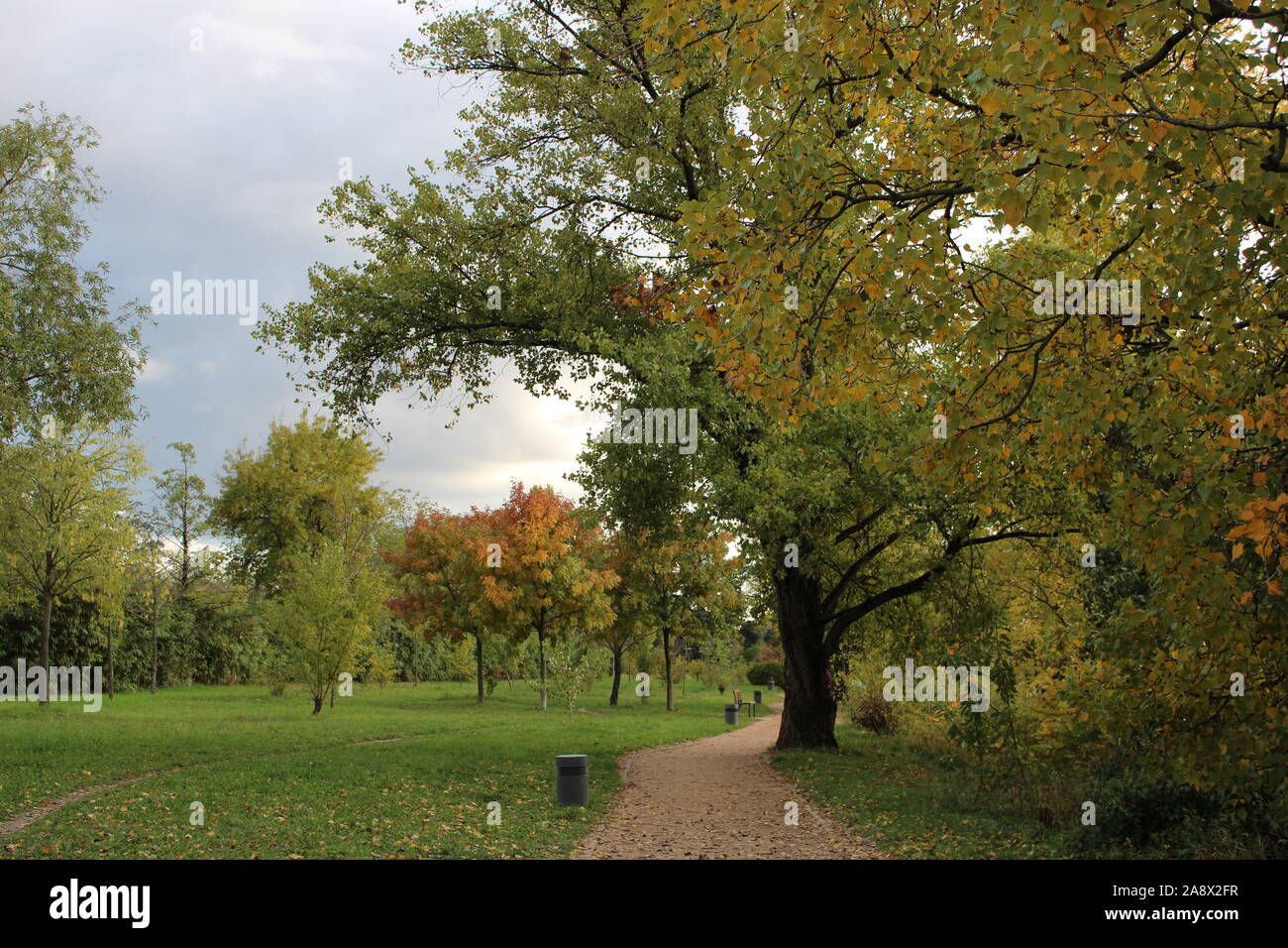 Stadtpark im Herbst Stockfoto