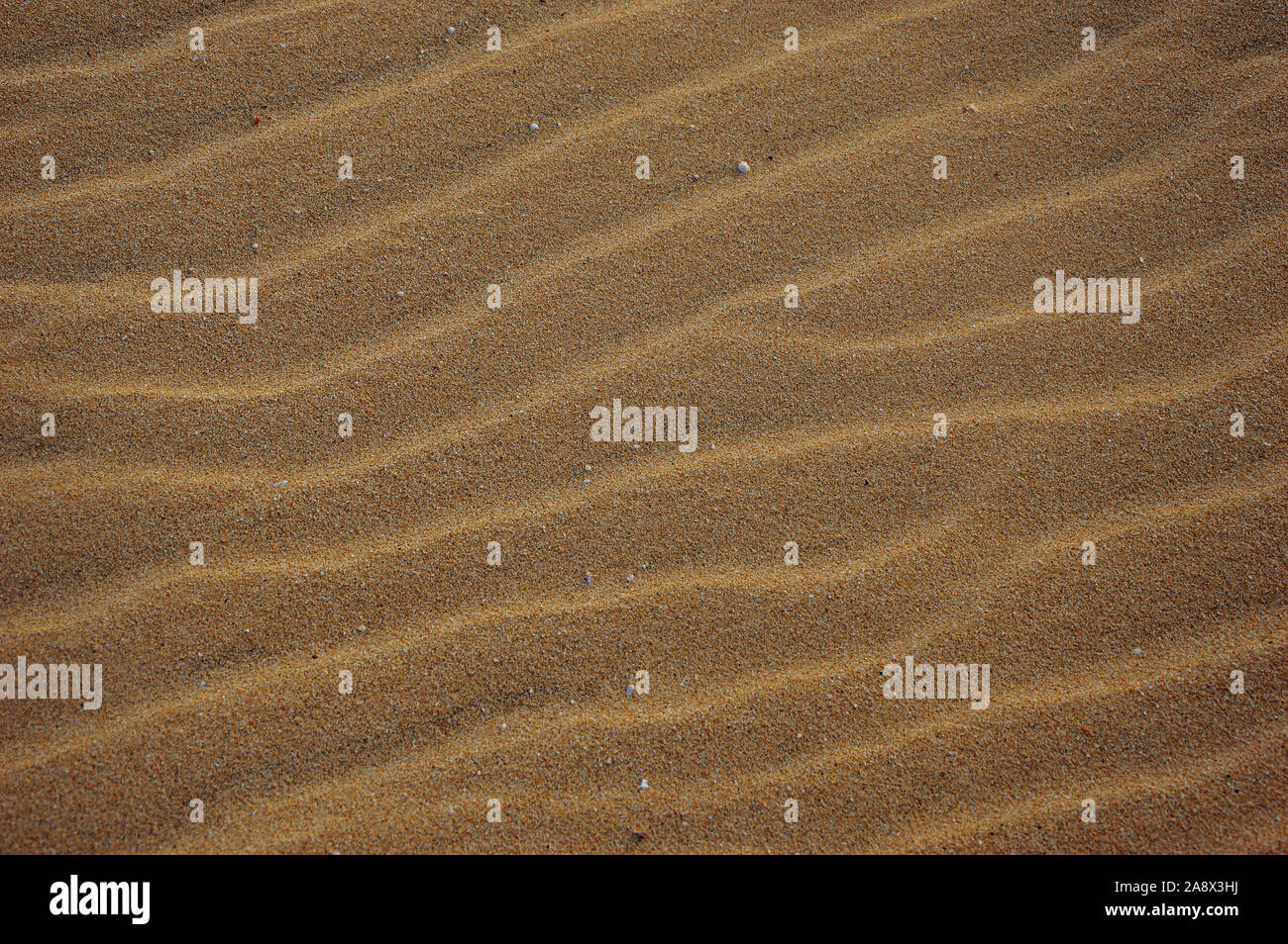 Linie in der Sandwüste Stockfoto