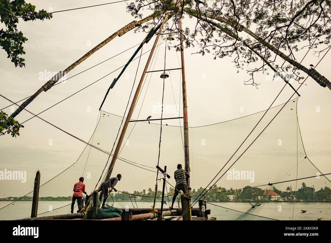 Cochin, Indien - 20. August 2019: Fischer stand auf der traditionellen chinesischen Fischernetze Struktur am frühen Morgen mit warmen natürlichen weiches Licht Stockfoto