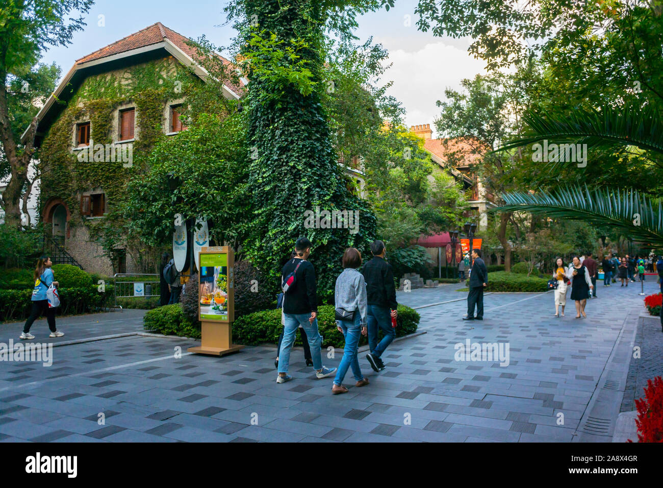 Shanghai, China, Straßenszenen, Stadtzentrum, Alte Viertel von Fre-nch, Vintage Shanghai, Sommer, Chinesische Stadtstraße Stockfoto