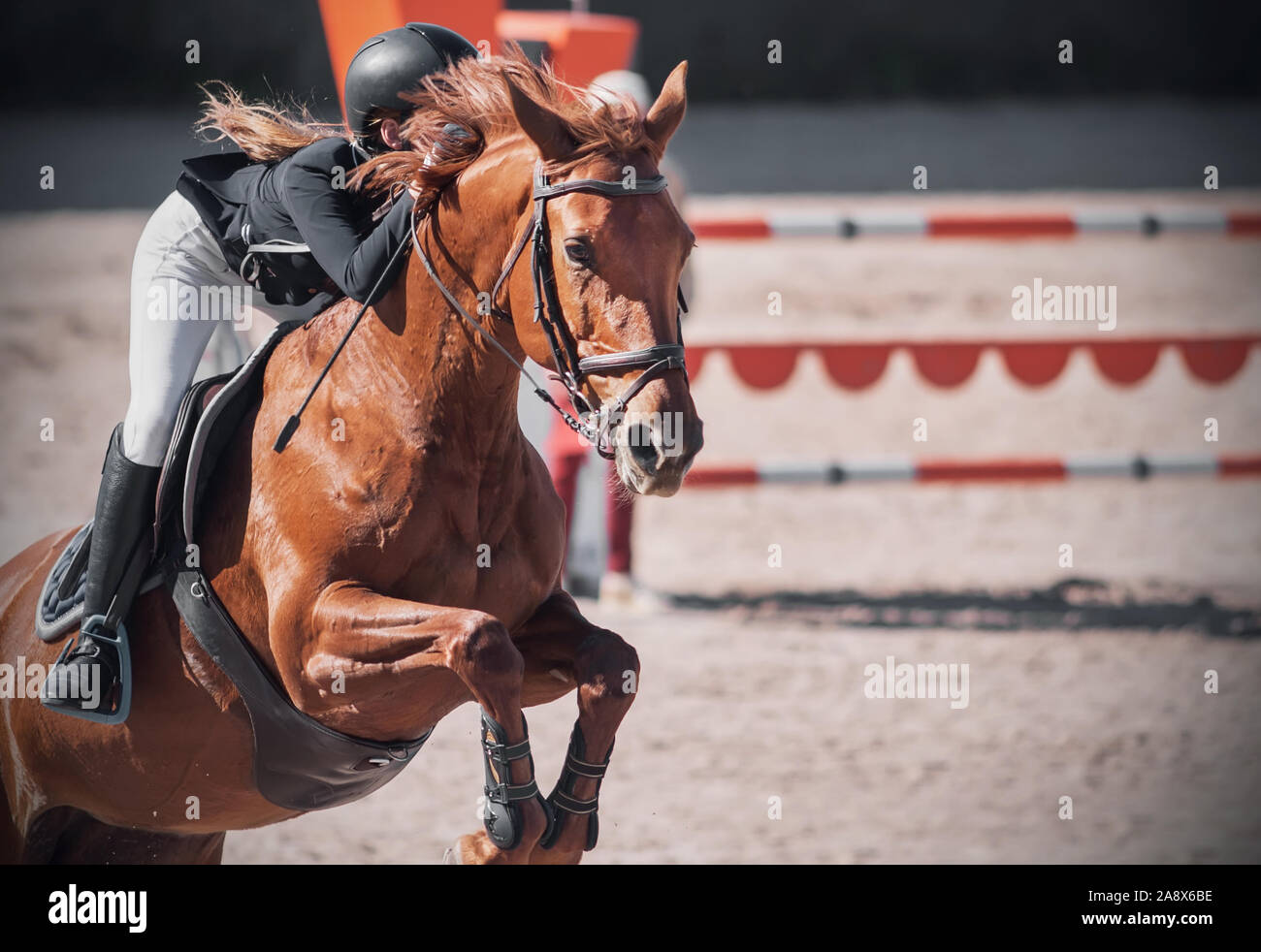 Ein sauerampfer Pferd mit einem fließenden Mähne und mit einem Mädchen Reiter im Sattel springt über die Barriere an einem Reitturnier. Stockfoto