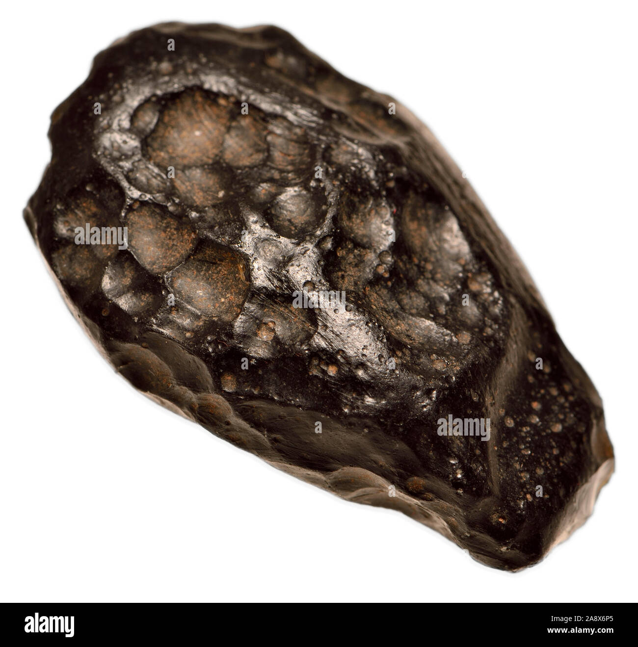 Indochinite /Tektite - metamorphen Glas gebildet vom terrestrischen Felsen schmelzen nach Meteoriteneinschlag und Kühlung schnell Stockfoto