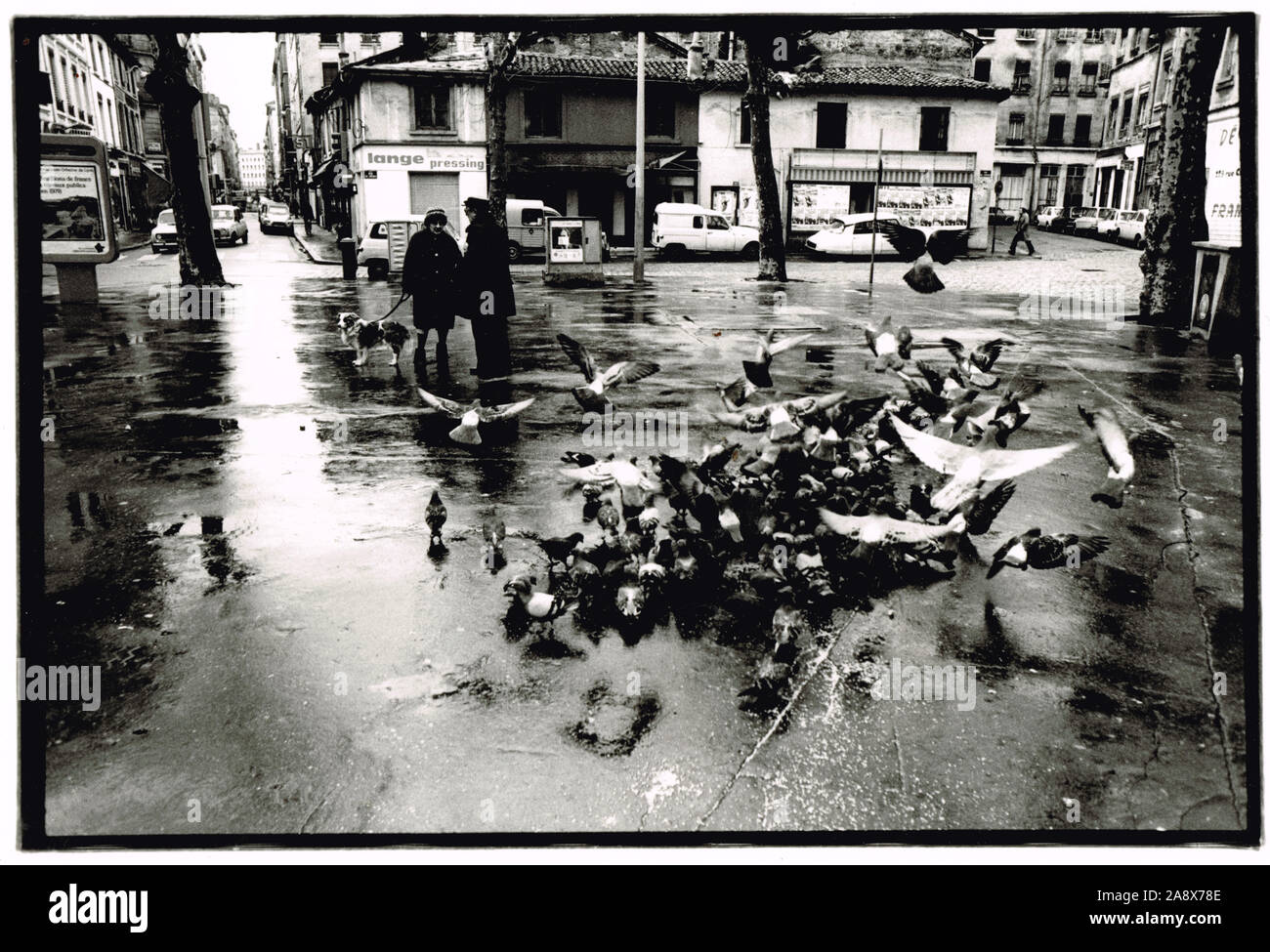 Lyon in den 70er-Jahren, Tauben an Voltaire Square, Paul Bert, Archiv Fotografie, Frankreich Stockfoto Lyon in den 70er-Jahren, Tauben an Voltaire Square, Paul Bert, Archiv Fotografie, Frankreich Stockfoto