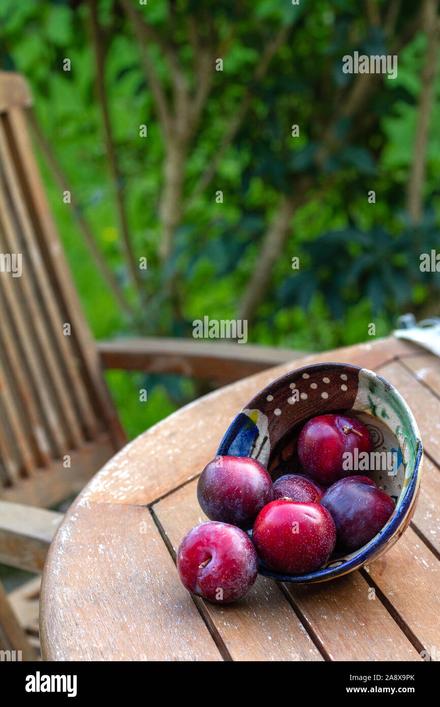 In der Nähe von dunklen roten und violetten Pflaumen in einem handgefertigte Keramik Schüssel auf Holztisch mit Garten in Soft-Schwerpunkt im Hintergrund Stockfoto