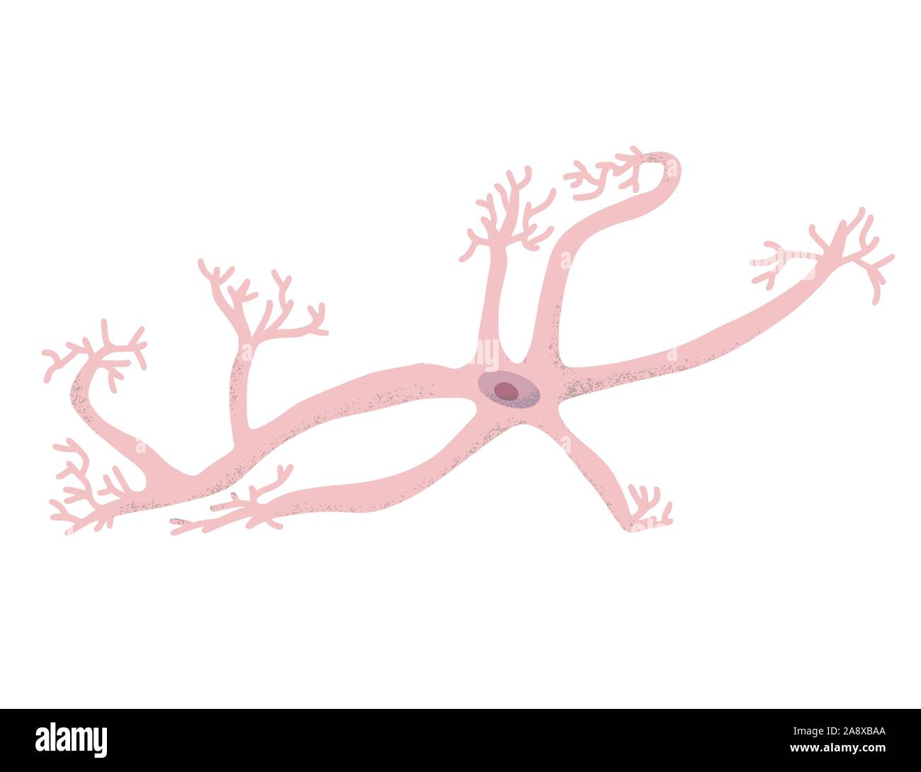 Neuron Zelle isoliert. Gehirn Zelle mit axones und Dendriten. Vektor illustartion. Stock Vektor