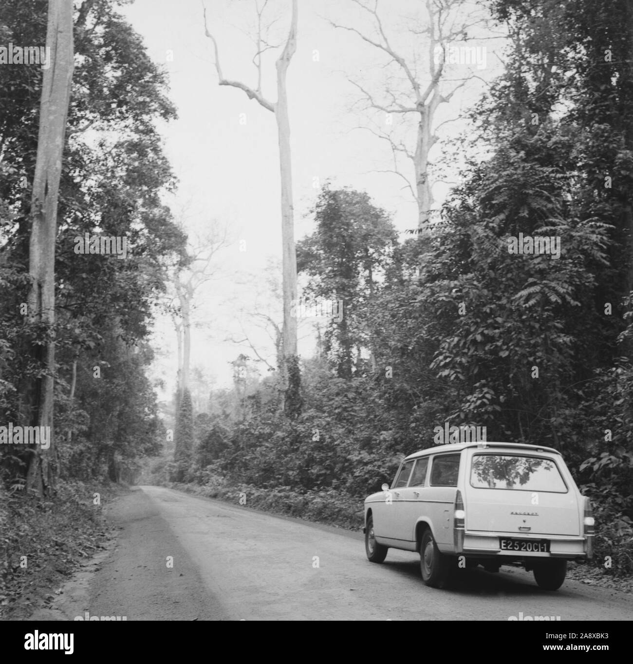 Die Straße um Sassandra 1965 Stockfoto