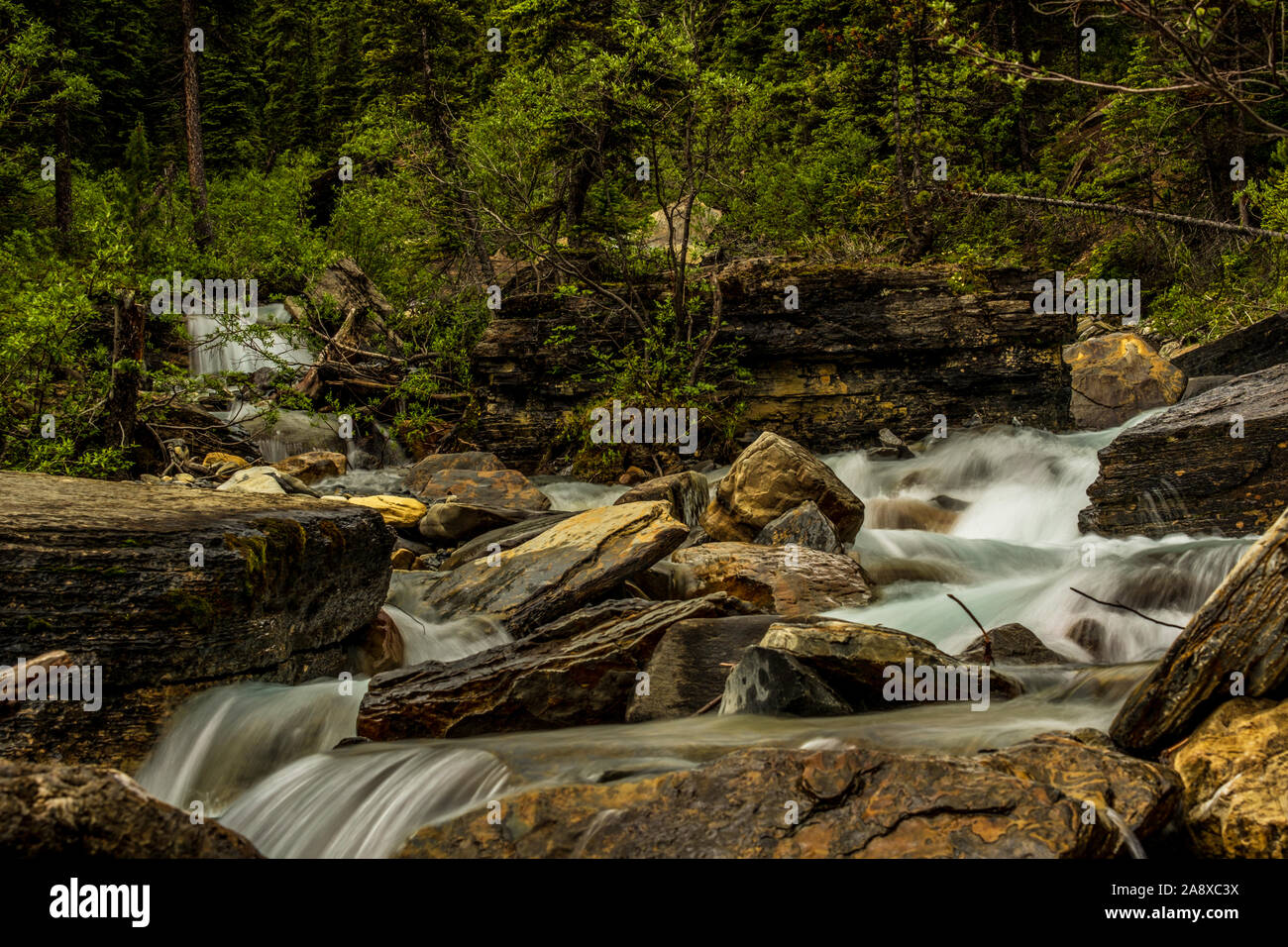 Berg Gletscher, Mount Robson Provincial Park. Stockfoto