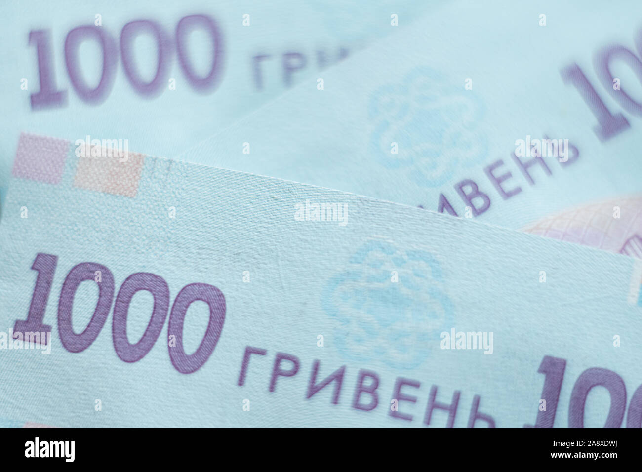 Kiew, Ukraine - November 2019: Close-up Makro Detail von tausend Griwna ukrainischen Papier Banknote Stockfoto