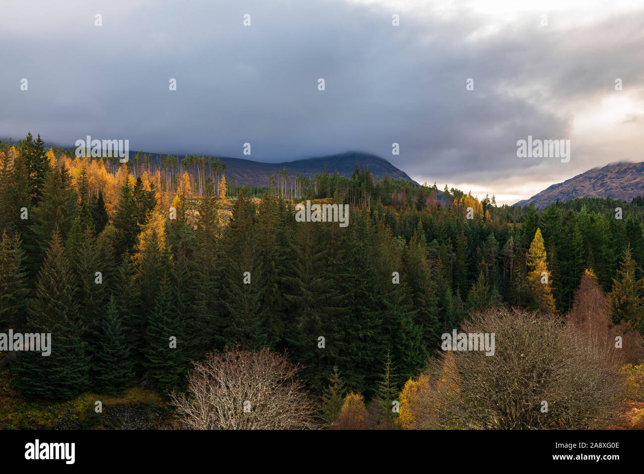 Herbstliche Landschaft der Highlands entlang Glen Spean in Badenoch und Strathspey, Schottland. 4. November 2019 Stockfoto