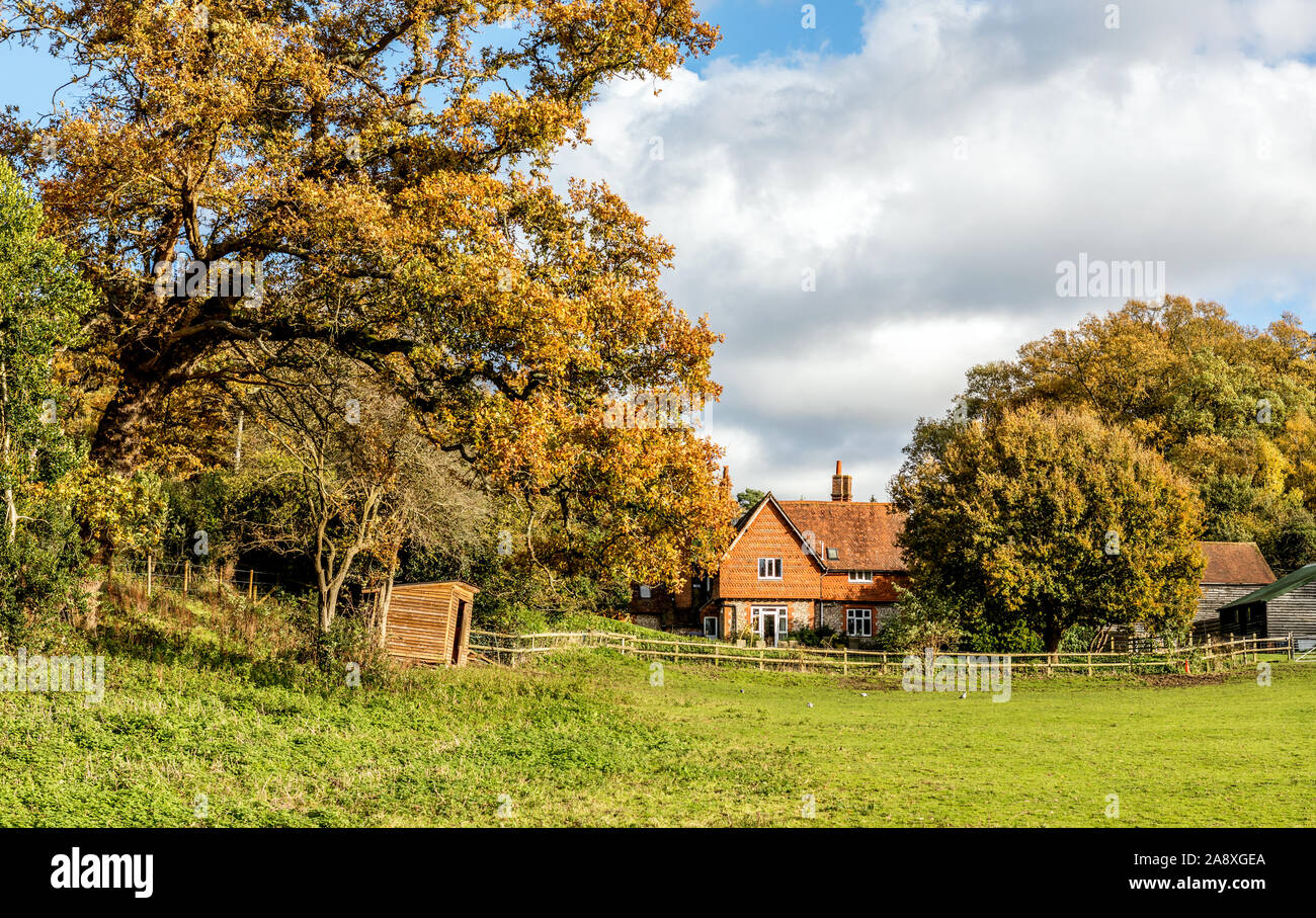 Offene Felder mit einem Haus Headley Surrey UK Stockfoto