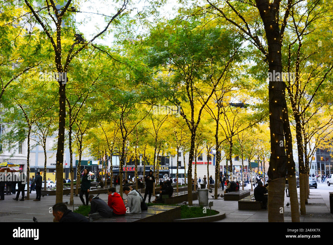 New York, NY - 05. Nov. 2019: Zuccotti Park, Mit beleuchteten Bäumen, ist einen halben Hektar großen Plaza in Manhattan nun gleichbedeutend mit Besetzt die Wall Street movemen Stockfoto