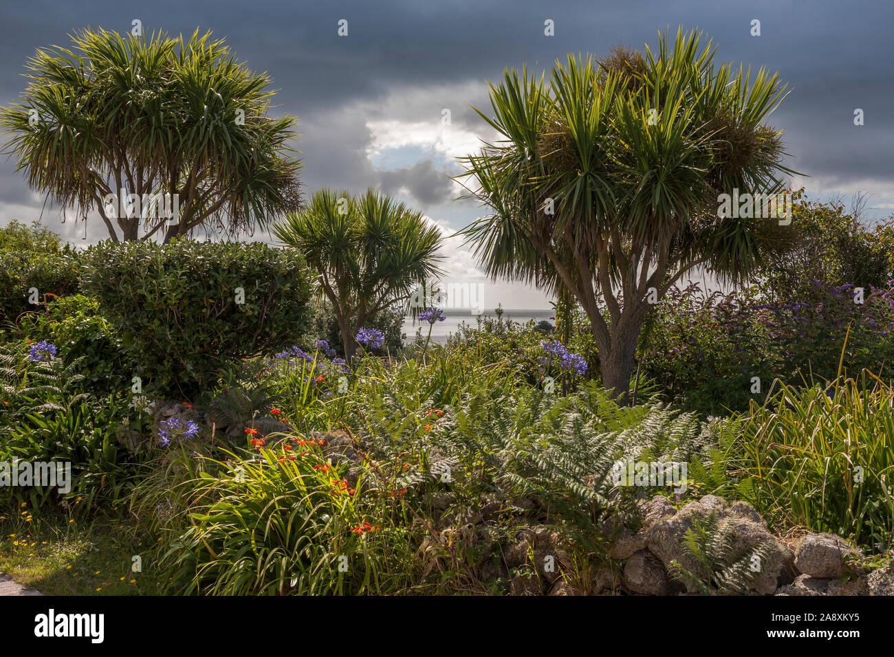 Im schönen Garten des Höheren Stadt auf St. Agnes, Isles of Scilly, Cornwall, England, Großbritannien Stockfoto