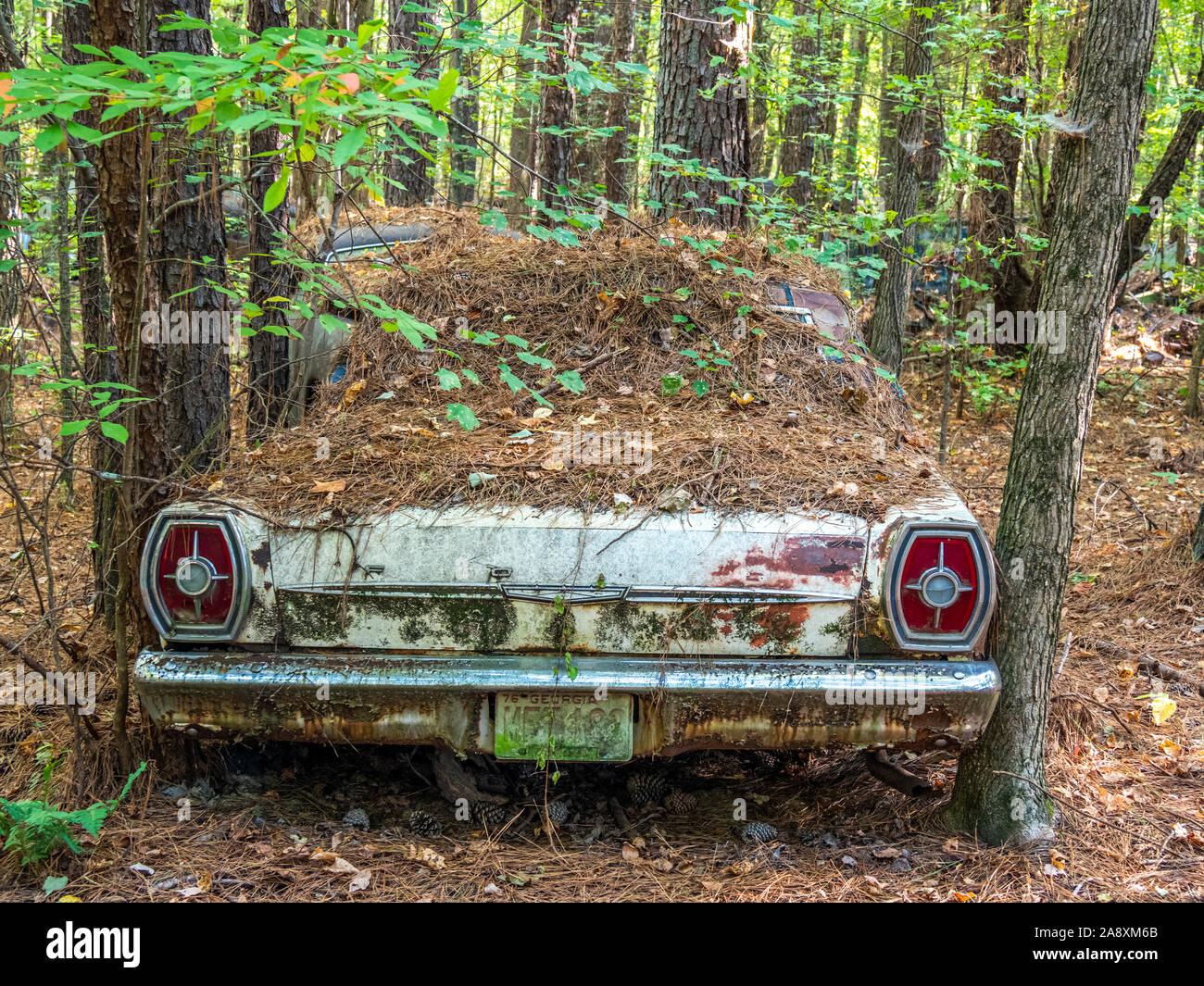 Alte verrostete zurueckgelassenen Fahrzeuge in der Alten Stadt Schrottplatz in weißen Georgien in den Vereinigten Staaten Stockfoto