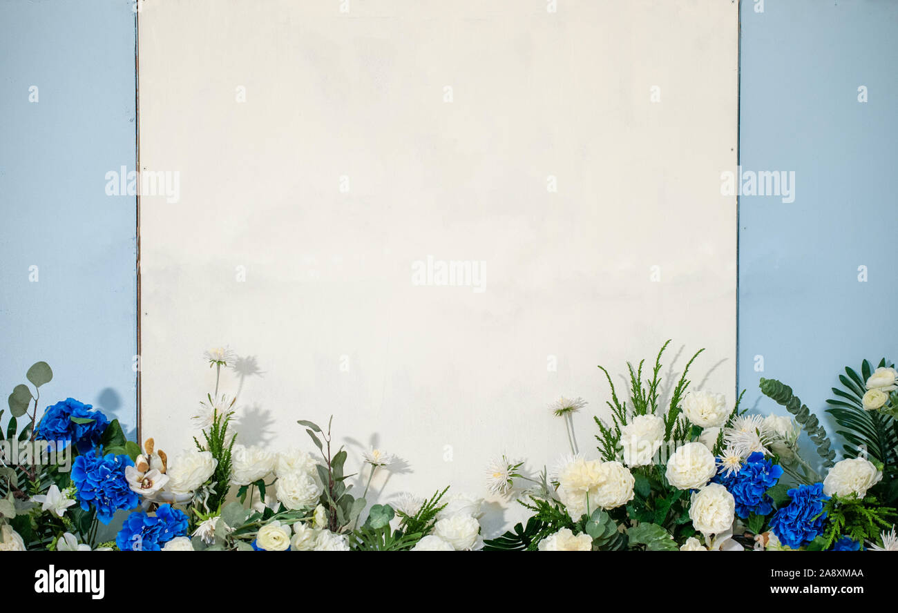 Weiße Blumen auf weißem Hintergrund Stockfoto